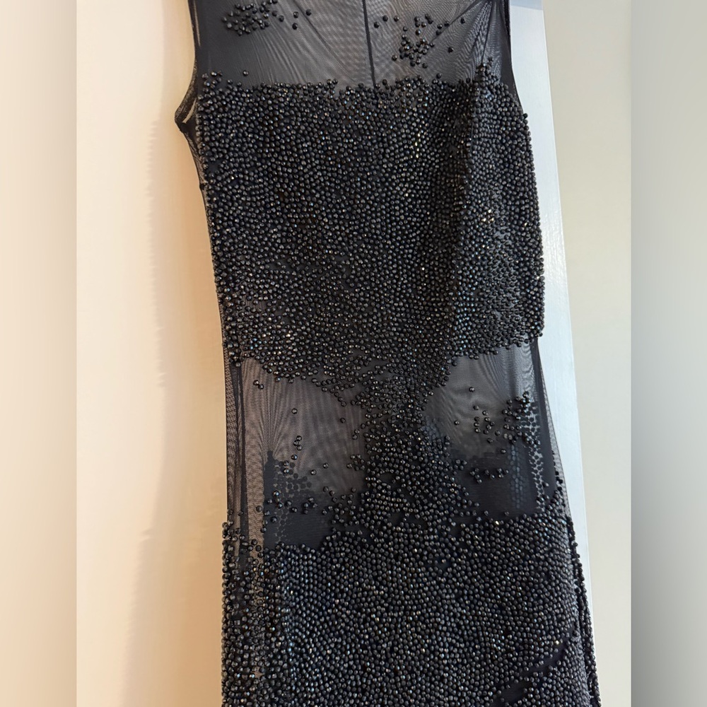 Black Sheer Lace Beaded Dress~Risky~